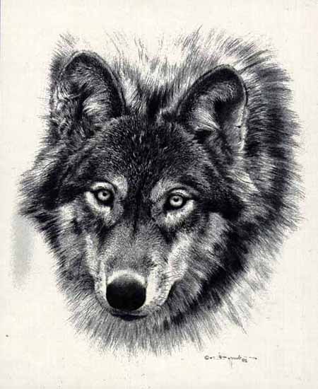 Reproductions of Carl Brenders paintings Den Mother-Sketch Reproductions of Carl Brenders paintings Den Mother-Sketch